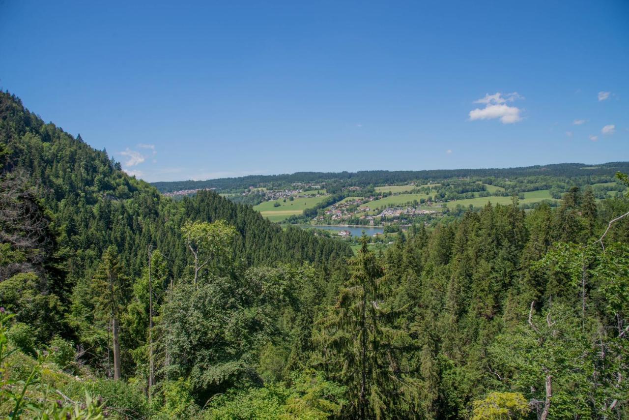 Domaine De Malpas Apartment Villers-le-Lac Luaran gambar