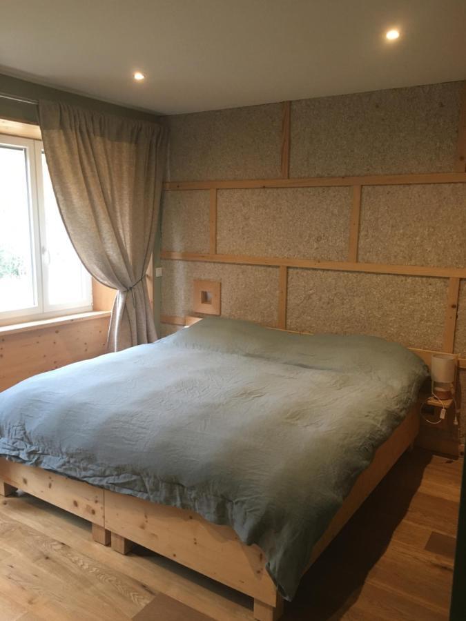 Domaine De Malpas Apartment Villers-le-Lac Luaran gambar