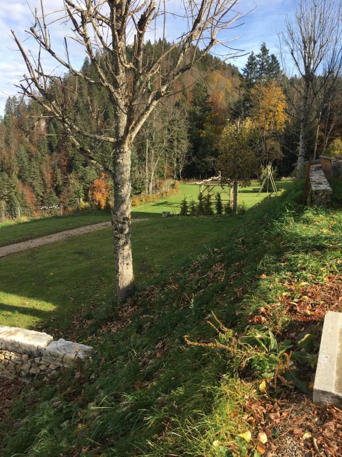 Domaine De Malpas Apartment Villers-le-Lac Luaran gambar