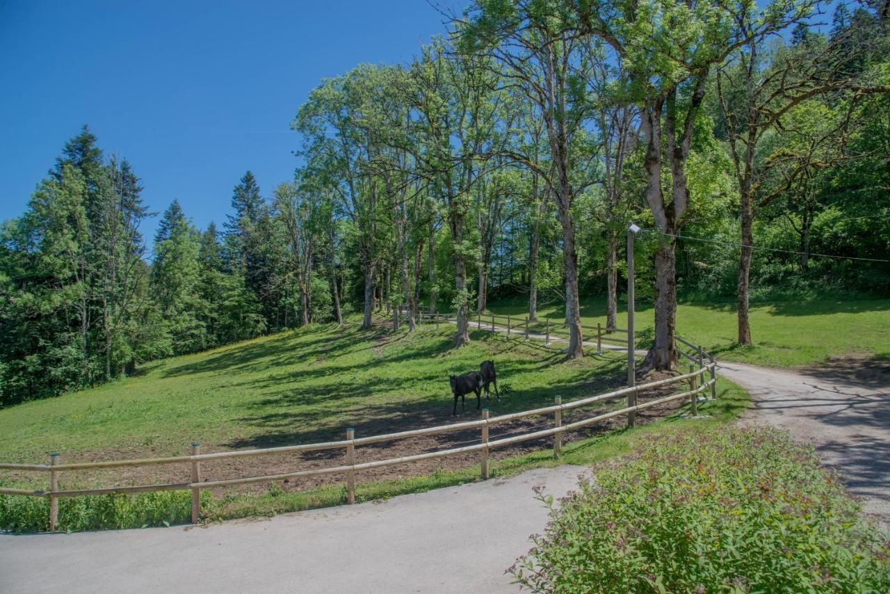 Domaine De Malpas Apartment Villers-le-Lac Luaran gambar